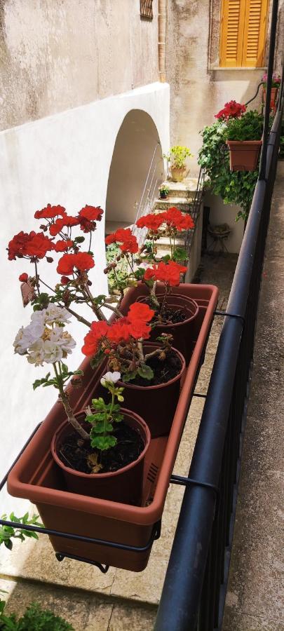 Le Altezze Villa Erice Eksteriør bilde